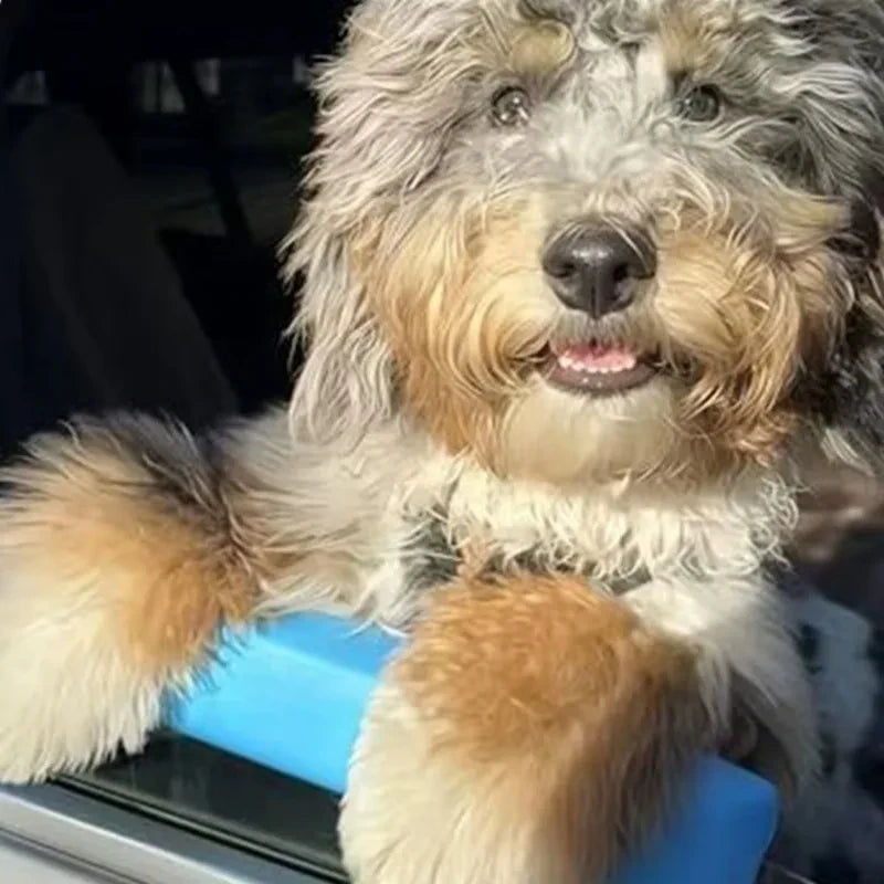 EVA Foam Dog Car Window Chin Rest