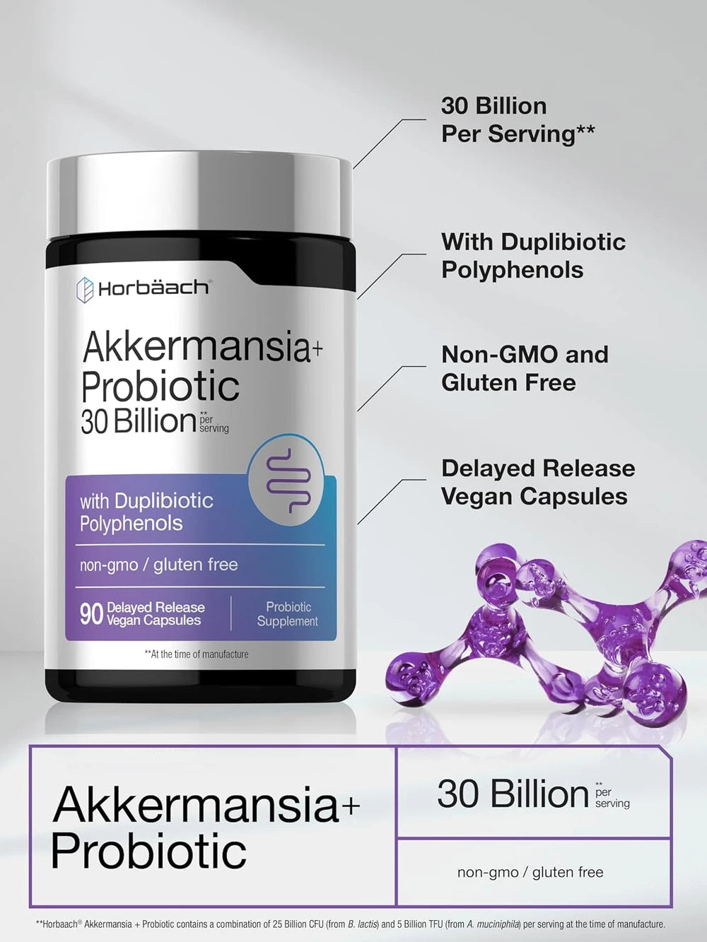 Akkermansia Muciniphila Probiotic Supplement