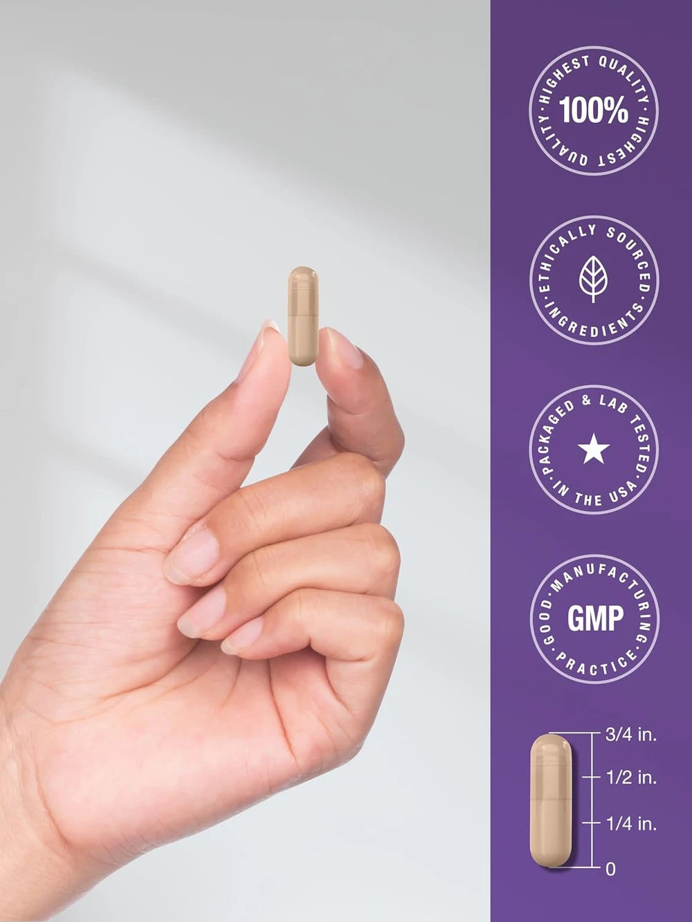 Akkermansia Muciniphila Probiotic Supplement